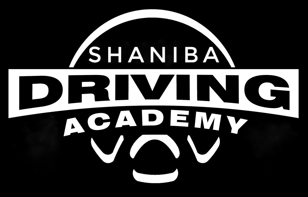 SHANIBA DRIVING SCHOOL ALATHIYUR